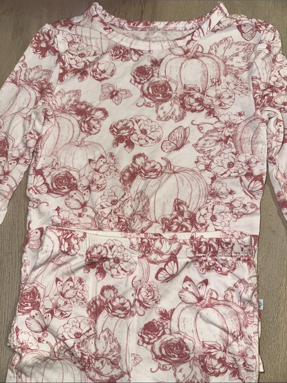 Long Sleeve 2-Piece Pajama Set In Dusty Rose Floral/Pumpkin Print